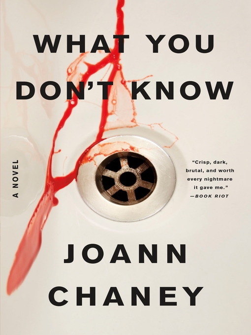 Title details for What You Don't Know by JoAnn Chaney - Wait list